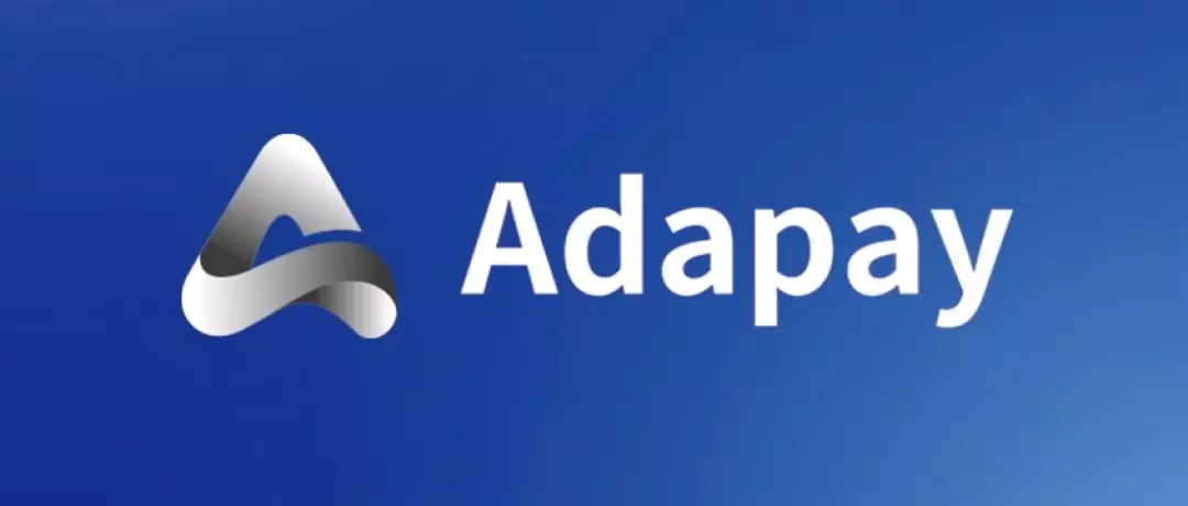 Adapay轻盈出世！易生支付发布全新支付服务(图1)