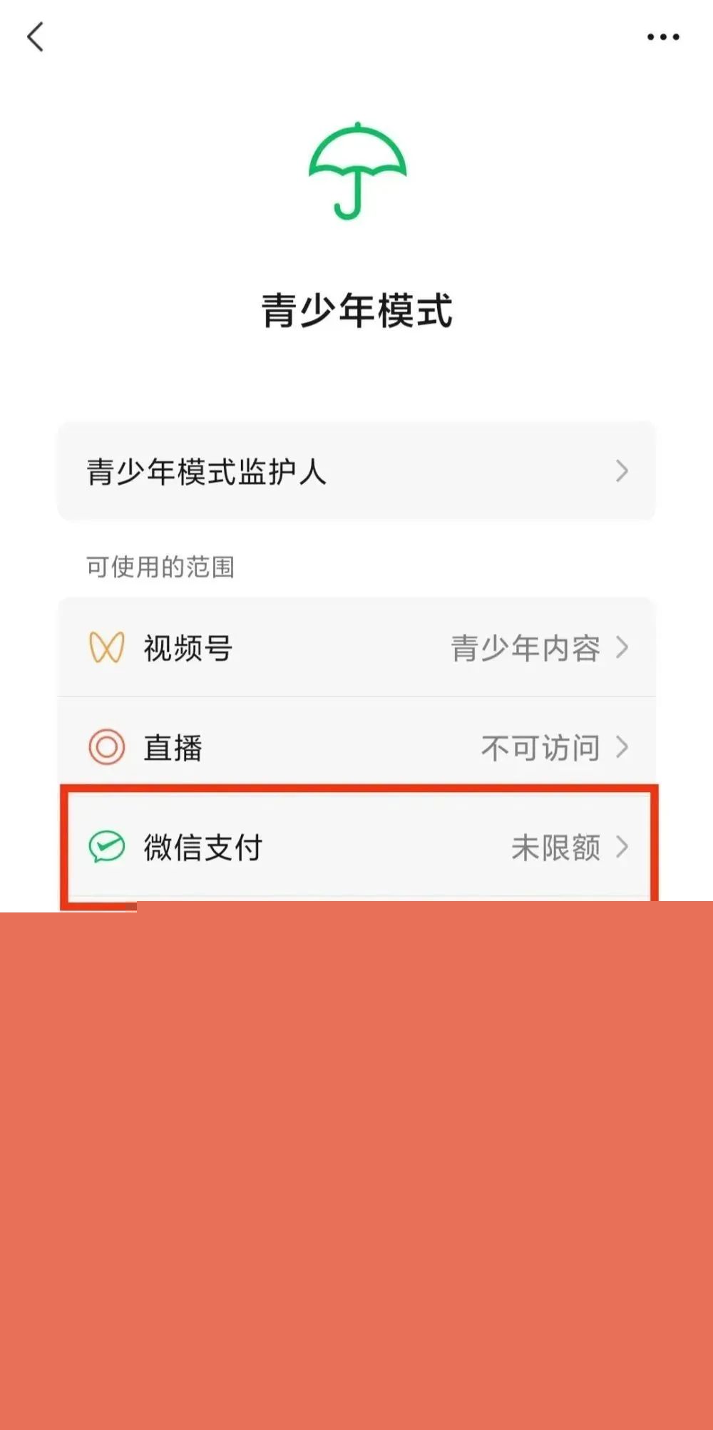 嘉联支付最新回应｜一家支付公司股权转让｜微信支付青少年模式(图5)
