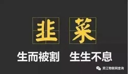支付公司疯狂涨价的同时，韭菜们你们分了多少？拿客户换利润，赔？赚？(图1)