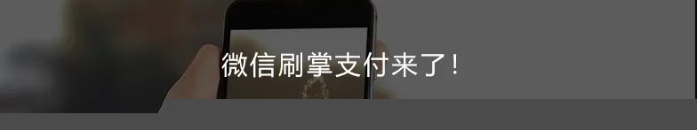 买POS机为上百人养卡2000余万,法院判了!(图6) 买POS机为上百人养卡2000余万,法院判了!(图6)